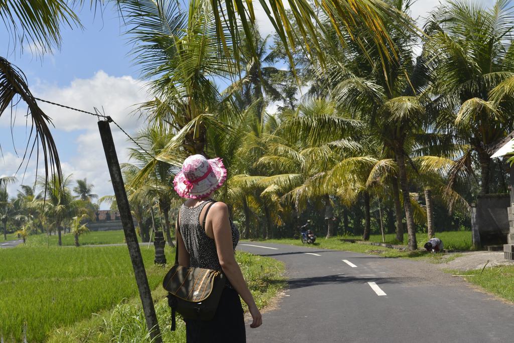 Angel House Ubud Eco Villa Exterior photo